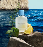 Light Blue Pour Homme Eau de Toilette 50 ml