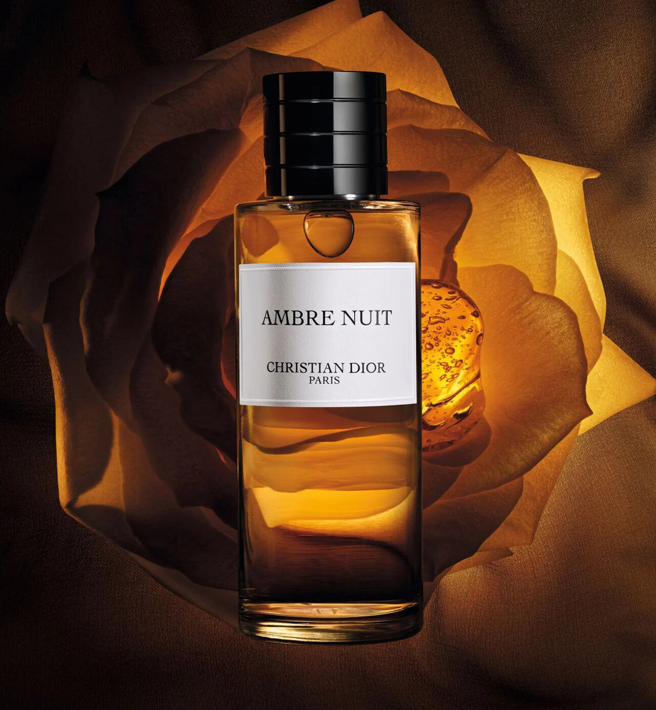 Dior Ambre Nuit