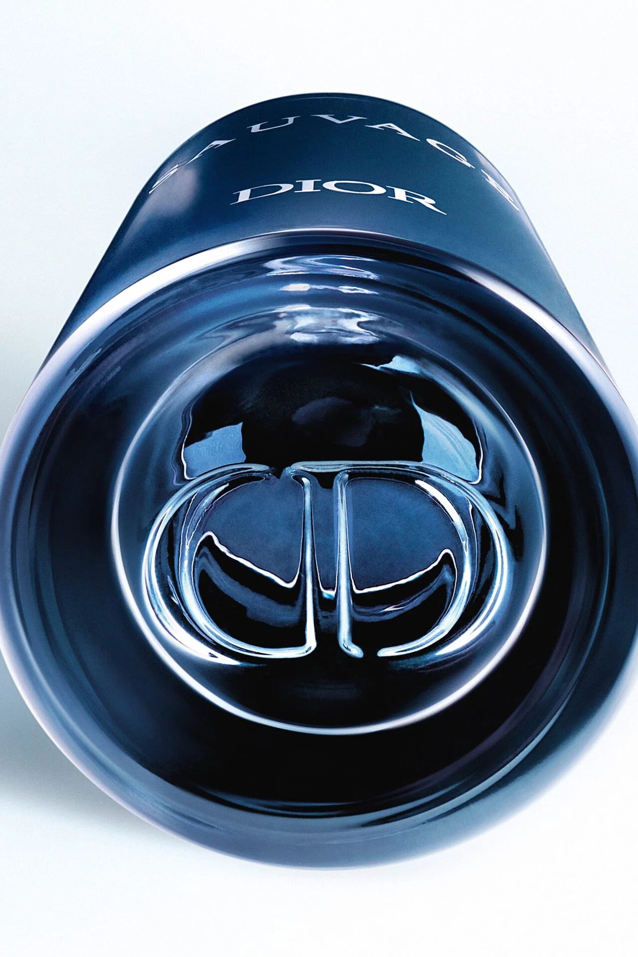 Dior Sauvage Eau de Parfum